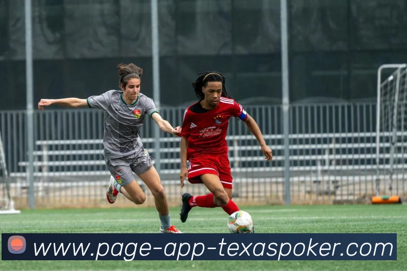 多媒体互动体验